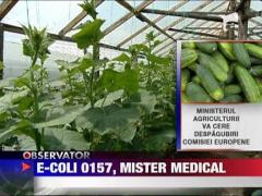E-Coli 0157, mister medical