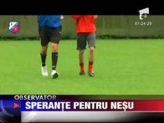 Mihai Nesu si-a miscat mana dreapta