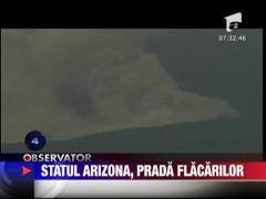 O suta de mii de hectare de vegetatie, mistuite de flacari in Arizona