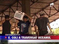 E.Coli a traversat oceanul