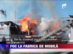 Fabrica de mobila mistuita de flacari