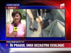 La un pas de un dezastru ecologic