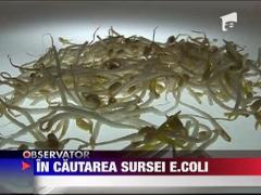 In cautarea sursei E.coli