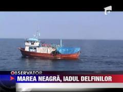 Marea Neagra, iadul delfinilor