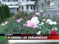 Craciunescu se lauda cu gradina lui de trandafiri