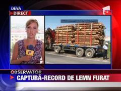Captura record pentru lemn furat