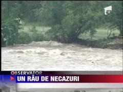 Cod rosu pe doua rauri din judetul Sibiu