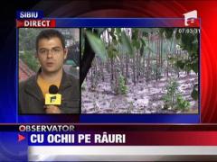 Cod galben de ploi si vijelii