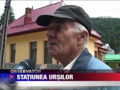 Ursii gunoieri au coborat din nou in Busteni