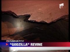 O groapa adanca de 10 metri astupata anul trecut a reaparut