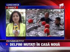 Vedetele Delfinariului din Constanta, mutati in casa noua
