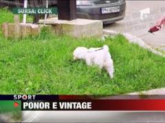 Catalina Ponor s-a facut hipiota!