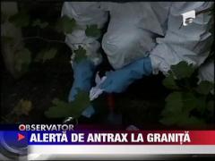 Alerta de antrax la granita