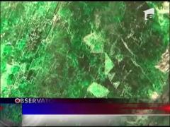 Cel mai mare smarald