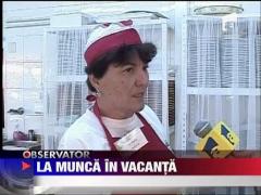 La munca in vacanta