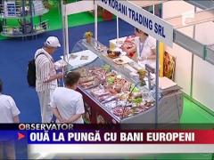 Producem oua la punga, pasteurizate, cu bani europeni