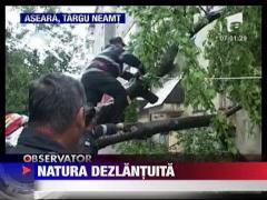 Strazi transformate in rauri