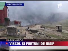 Viscol la munte, furtuna de nisip la mare