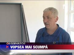 Se scumpesc vopselele si lacurile