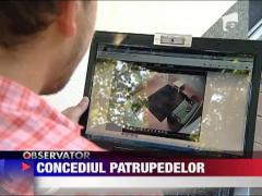 Hoteluri speciale pentru caini