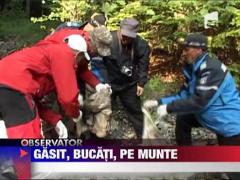 Barbat gasit mort in muntii Baiului