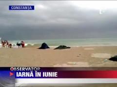 Cod galben de ploi si vijelii