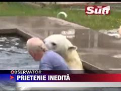 Isi pune capul in gura ursului!