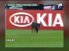 Brazilia s-a facut de ras