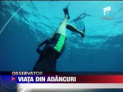 S-a lansat Freediving Romania