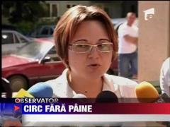 Circ in plina strada la Iasi