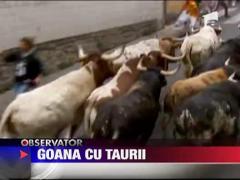 Astazi a debutat celebra cursa cu tauri