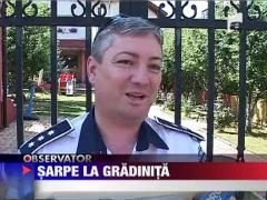 Sarpe in curtea unei gradinite