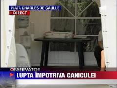 Lupta impotriva caniculei