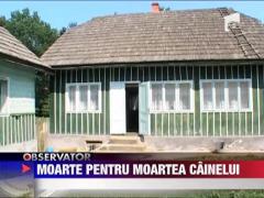 Paznic ucis cu bestialitate pentru un caine, in Suceava
