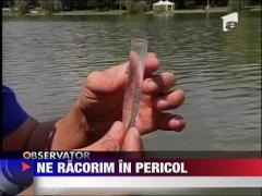 Cod galben de canicula pentru toate zonele tarii