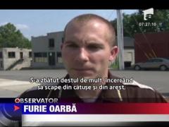 A sarit la gatul unei judecatoare, chiar in timpul procesului