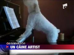 Pasiunea pentru muzica nu tine cont de varsta, gen sau specie