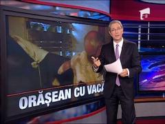 Amenda pentru pascut