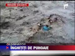 Inghititi de puhoaie