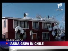 Locuinte acoperite in intregime de zapada