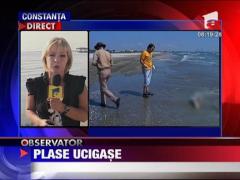 Delfini morti in apele Marii Negre