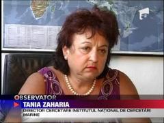 Solutia unui litoral curat