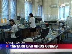 Tantarii dau virus ucigas