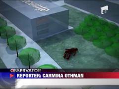 Crima sau sinucidere?