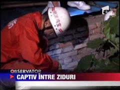 Copil captiv intre pereti