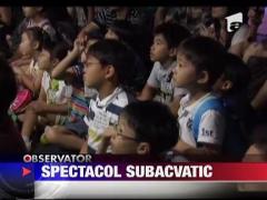 Spectacol inedit sub apa