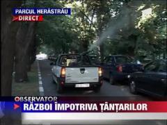 Autoritatile lupta impotriva West Nile