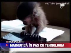 Maimutica cu telefon