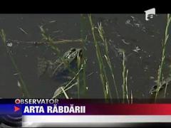 Vicepresedintele PC, Bogdan Diaconu, are o pasiune de mic pentru pescuit