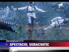 Spectacol inedit in Coreea de Sud!